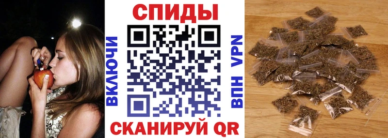 БУТИРАТ буратино Судак